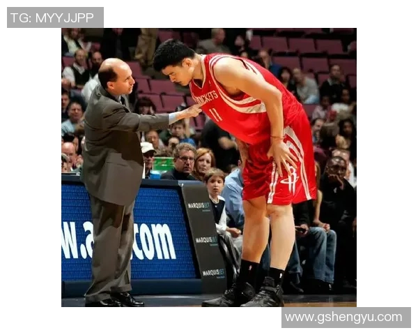 2008年姚明带领勇士队的传奇之旅与NBA历史的交汇点