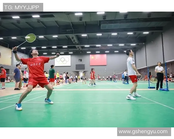 深圳羽毛球队配合问题引发热议球员间默契与战术选择成焦点 深圳羽毛球队配合问题引发热议球员间默契与战术选择成焦点